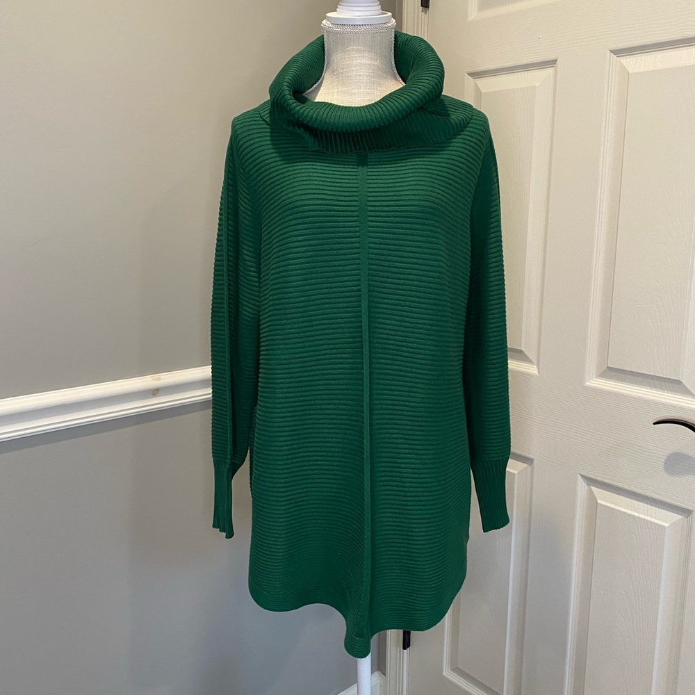 Cyrus Green Cowl Turtleneck Sweater Plus Size 1X New with Tags
